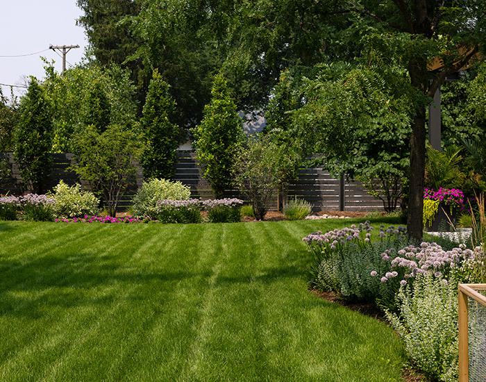 backyard spring fresh cut grass