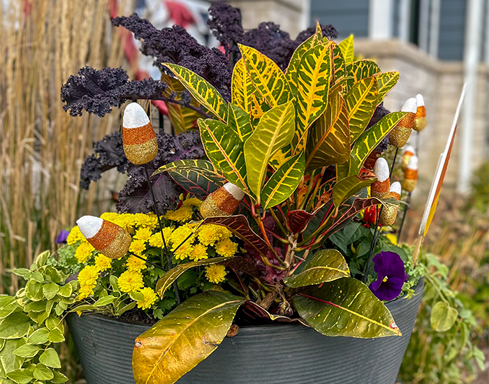 Autumn Flower Pot
