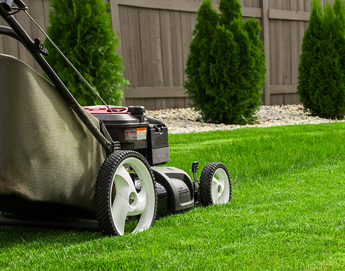 Lawn Maintenance Mower