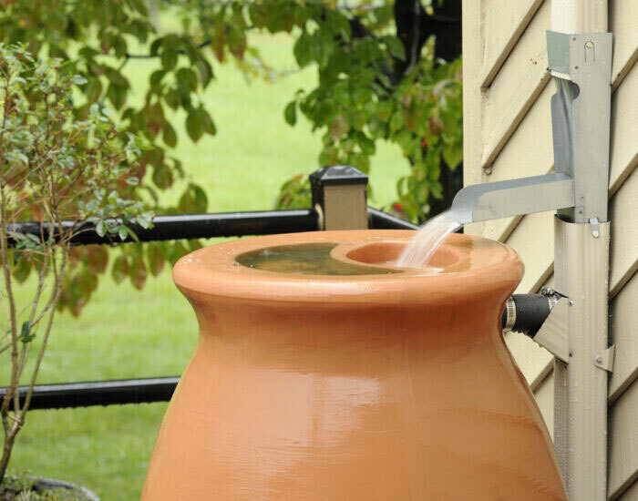 Rain Barrel