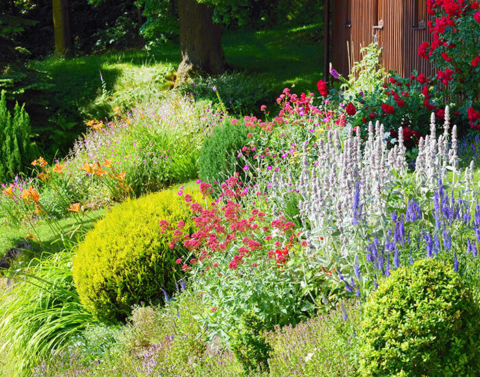 Summer Garden Sustainable Native Landscape