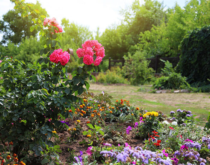 Spring flower landscaping