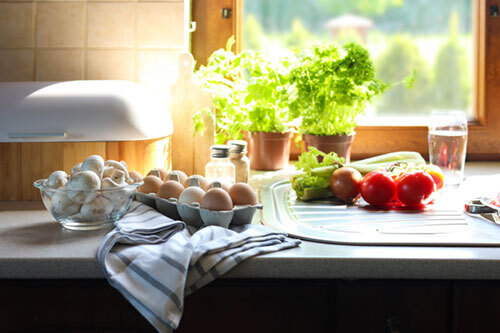 Herbs in Window