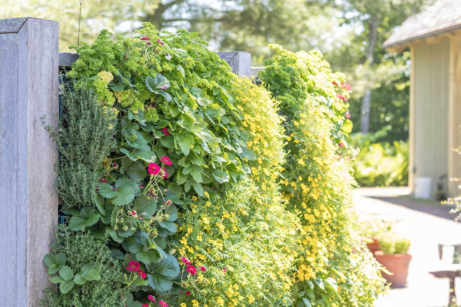 Vertical Garden