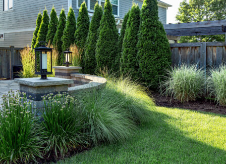 Privacy Landscaping