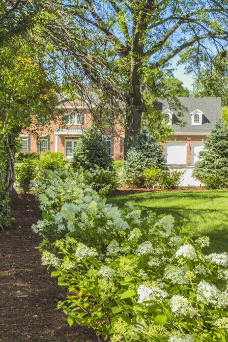 House through Greenery