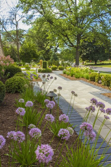 Softscape Front Walk Flowers 1