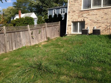 Backyard Fence Before