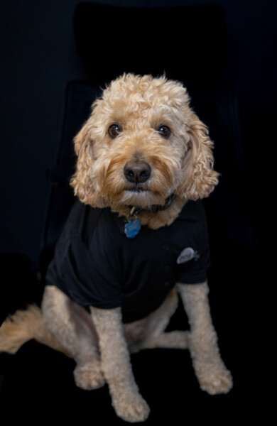 Hank Photo