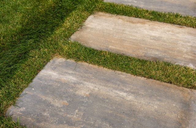 Precast Pavers (Signature)