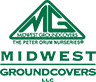 Midwest Groundcovers